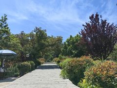 -崂山仰口游览区