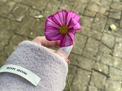 -田野绿世界
