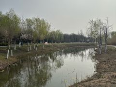 -九里湖国家湿地公园