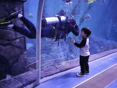 -哈尔滨波塞冬海底世界