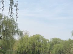 -济南大明湖景区