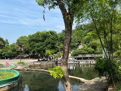 -宜兴张公洞