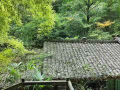 -青城山