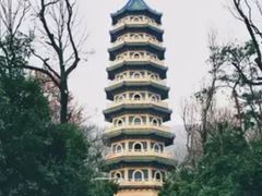 -灵谷景区