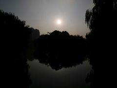 -桐乡植物园