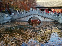 -香山公园