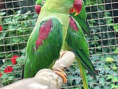 -大连森林动物园