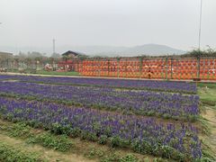 -盈香心动乐园