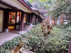 -南山植物园