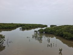 -北海金海湾红树林生态旅游区