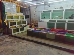 水产区-南蚝小贝海鲜特色餐厅(南澳岛店)