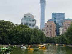 -团结湖公园