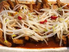 -中国凉都黄牛肉馆(杭州总店)