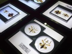 -上海昆虫博物馆