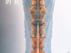 -国家植物园
