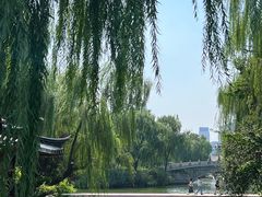 -济南大明湖景区