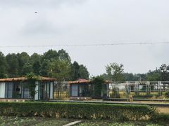 -洪湖家庭农场·团建·露营·会议