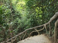 -梧桐山风景名胜区