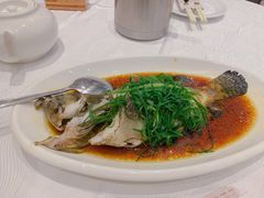 清蒸石斑鱼-金翠皇宫粤菜·点心·海鲜(科技园店)