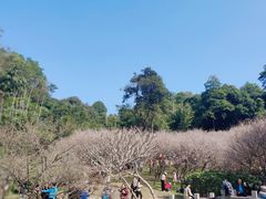 -广州市白云山风景名胜区
