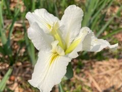 -广东中医药博物馆