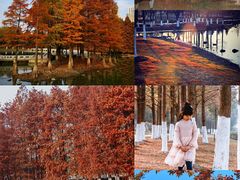 -白塘生态植物园