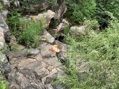 -北京西山国家森林公园