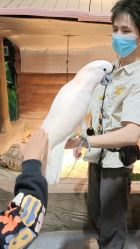 -Zoolung Zoolung动物主题公园(海信广场店)