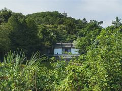 -深圳国际园林花卉博览园