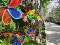 -南宫五洲植物乐园