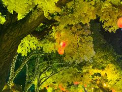 -横店影视城梦幻谷园区