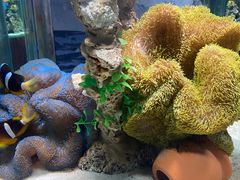 -太平洋海底世界