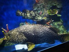 -泉州海丝野生动物世界