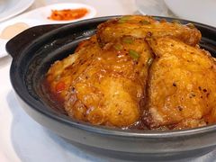 砂锅碟鱼尾-子霖南山鲜虾面(南山总店)