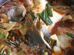 酸萝卜乌江鱼-大理.老字号渝记酸萝卜乌鱼(古城总店)