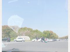 -滆湖低碳生态公园