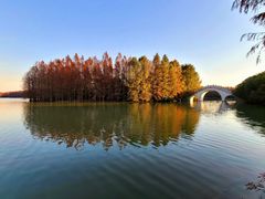 -上海海湾国家森林公园