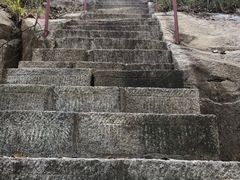 -鲁山国家森林公园