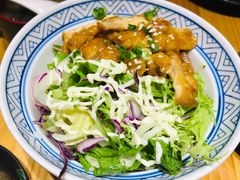 照烧鸡排饭定食-锦鲤堂日本料理(莱茵之星店)