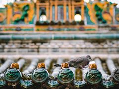 -罔极寺