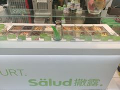 水果-Salud撒露欧洲冻酸奶(蓝色港湾店)