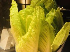 罗马生菜-麻路成都火锅(柏威年店)