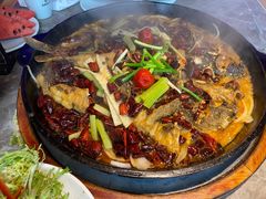 -老板恋上鱼(恒隆广场店)