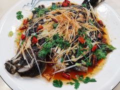 清蒸蝴碟鱼-富临港·蒸汽海鲜·手抓海鲜·炒菜(栈桥店)