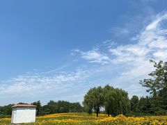 -济南国际园博园