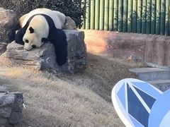 -济南野生动物世界