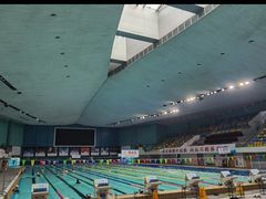 -重庆市奥林匹克体育中心-游泳跳水馆
