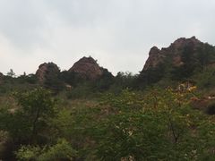-红山国家森林公园