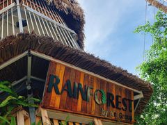 -Rainforest