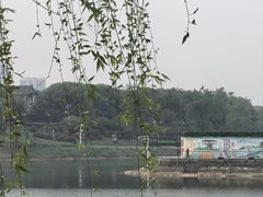 -沙澧河风景区